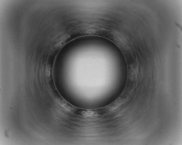 X0000098200230200804241300