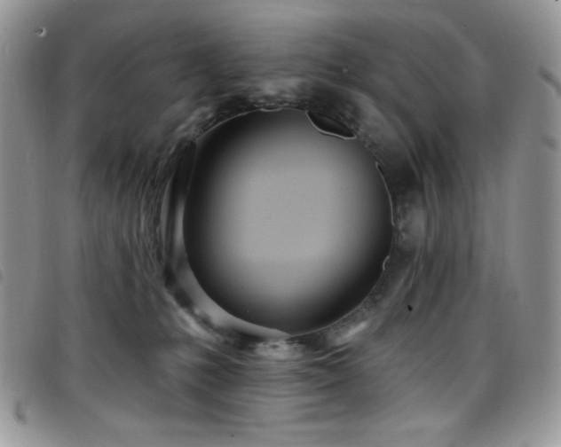 X0000098200231200804241300