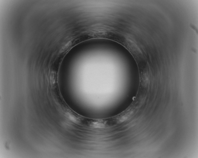 X0000098200232200804241300
