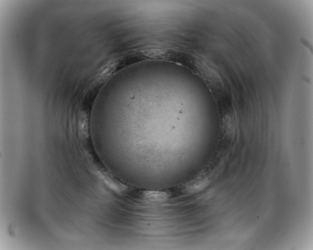 X0000098200234200804241300