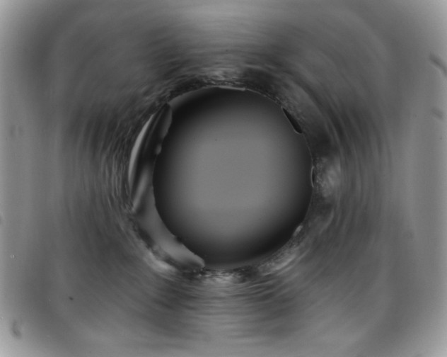 X0000098200235200804241300
