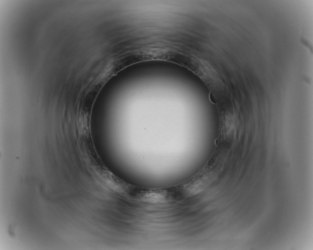 X0000098200236200804241300