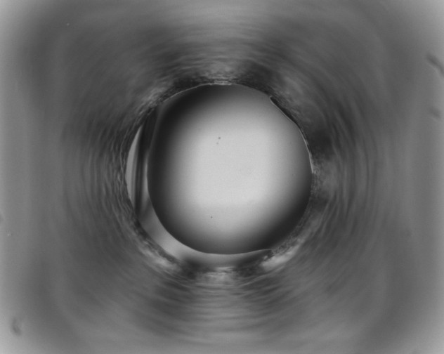 X0000098200237200804241300
