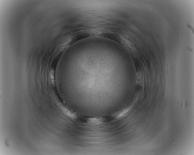 X0000098200238200804241300