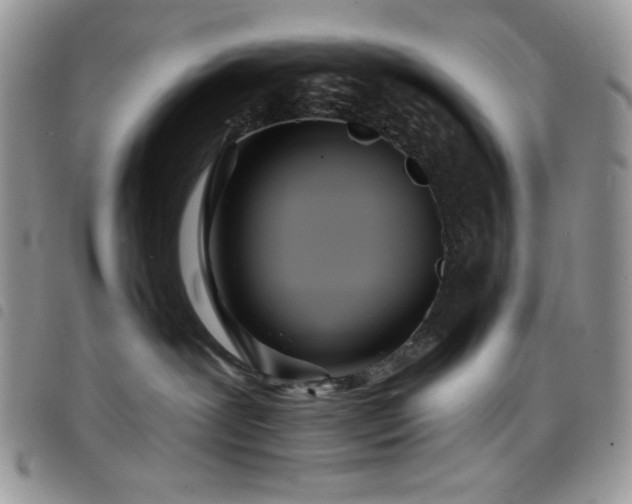X0000098200239200804241300