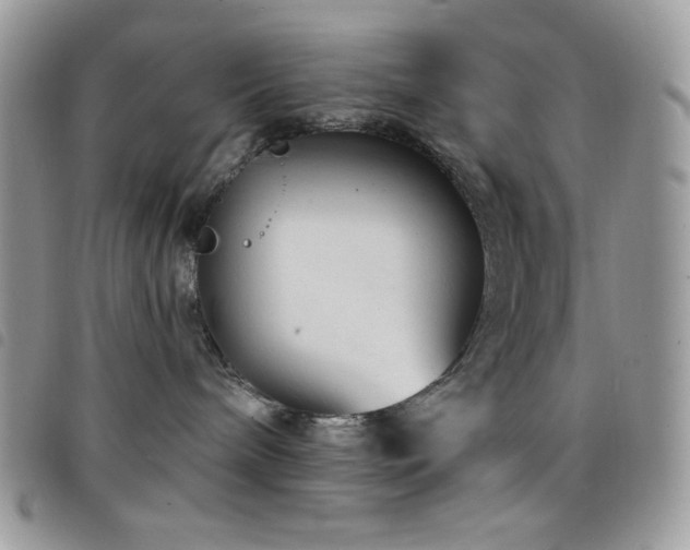 X0000098200240200804241300