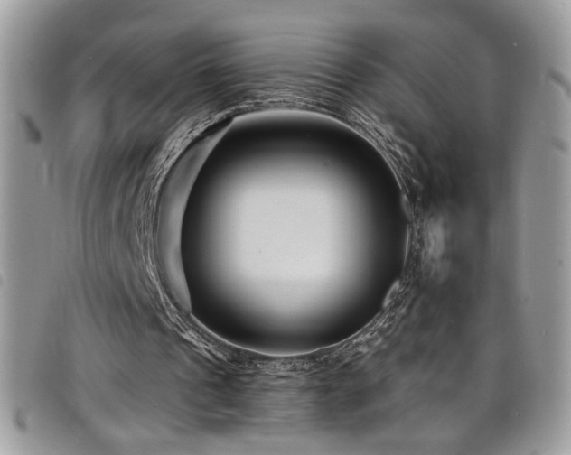 X0000098200241200804241300