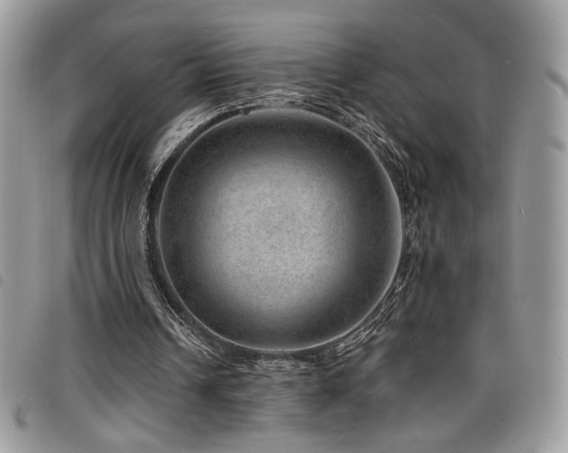X0000098200242200804241300