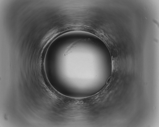X0000098200243200804241300