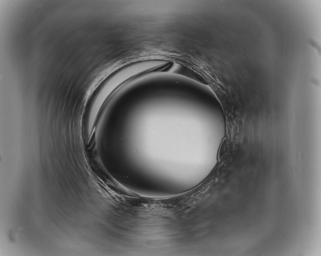 X0000098200244200804241300