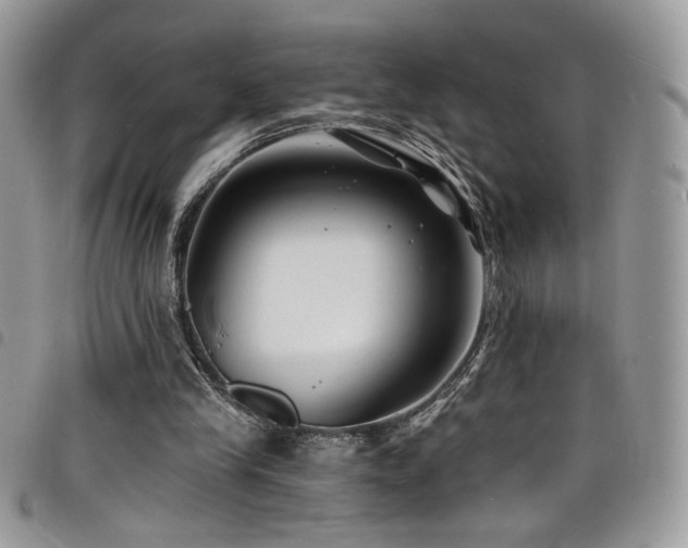 X0000098200245200804241300