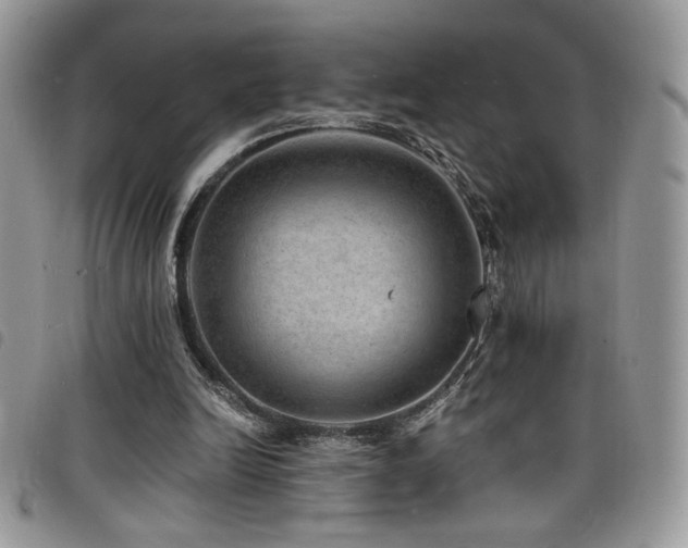 X0000098200246200804241300