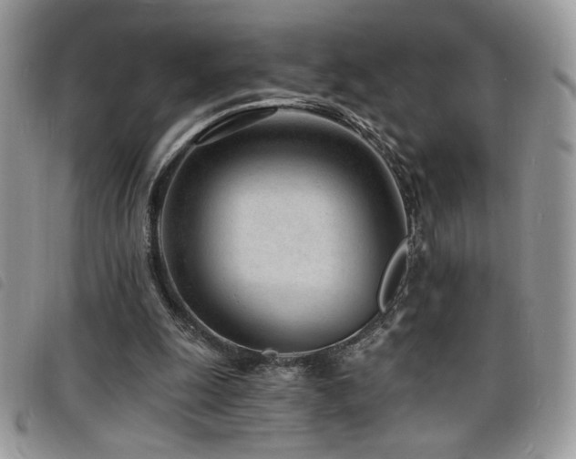 X0000098200247200804241300