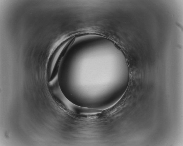X0000098200248200804241300