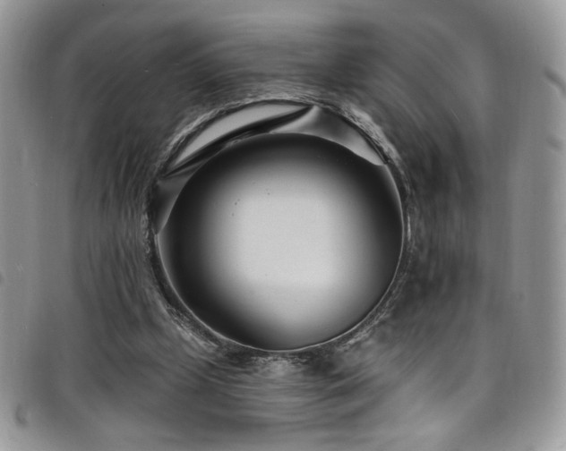 X0000098200249200804241300