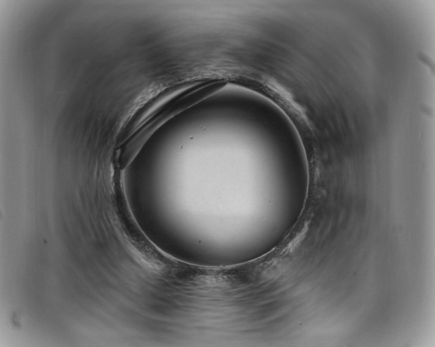 X0000098200250200804241300