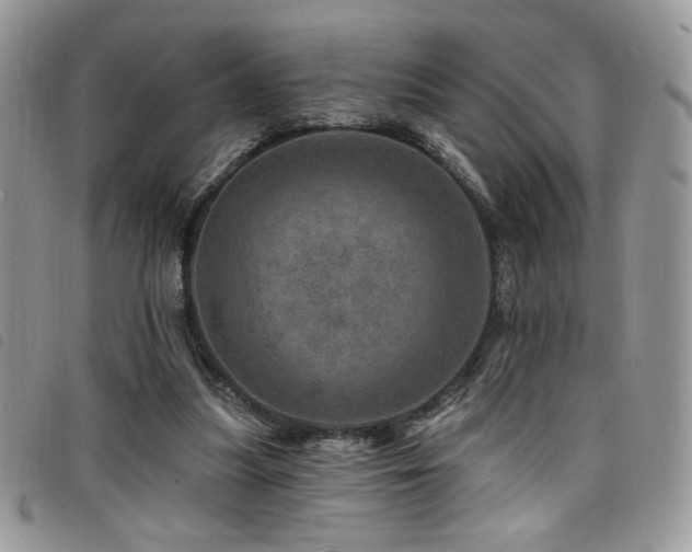 X0000098200251200804241300