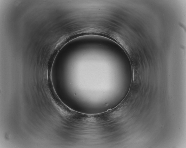 X0000098200253200804241300