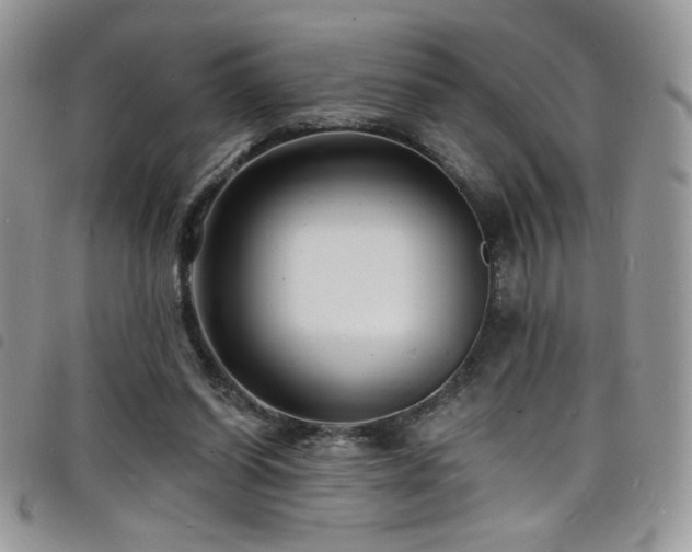 X0000098200254200804241300