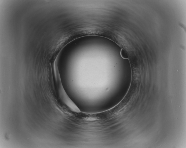 X0000098200255200804241300