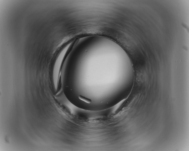 X0000098200256200804241300
