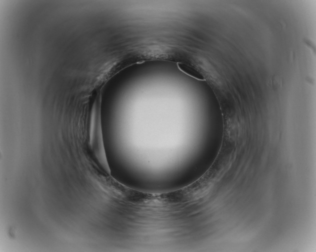 X0000098200259200804241300