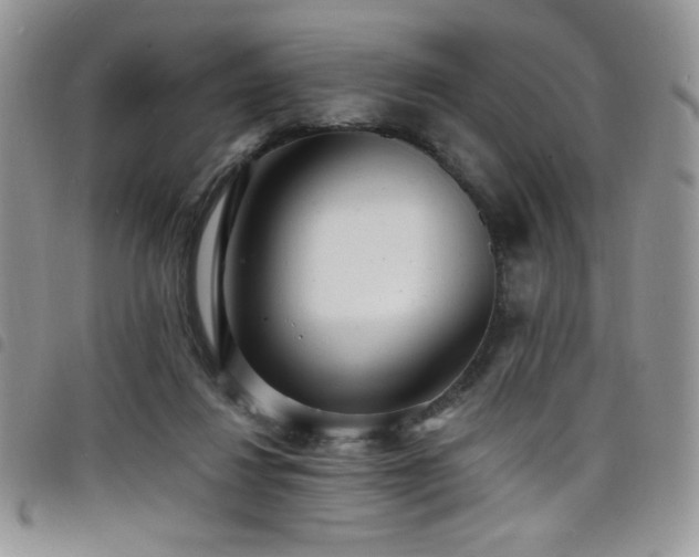 X0000098200260200804241300