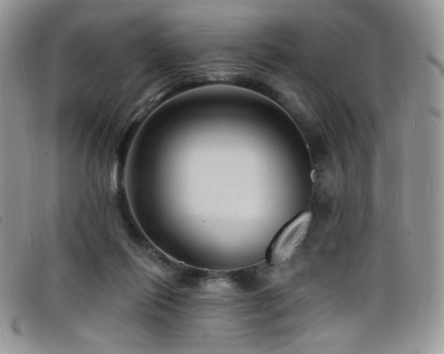 X0000098200262200804241300