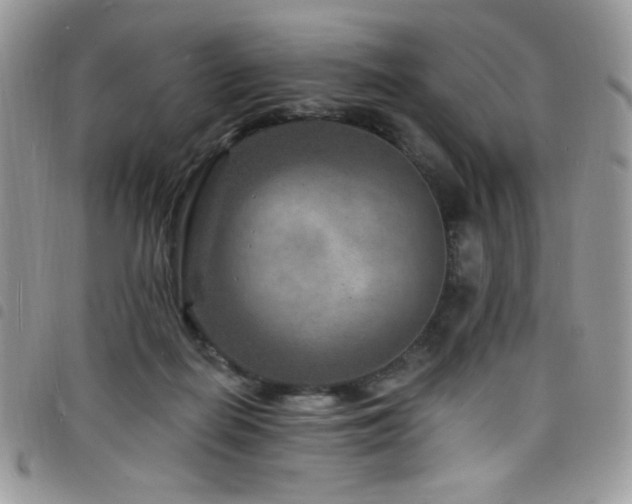 X0000098200266200804241300