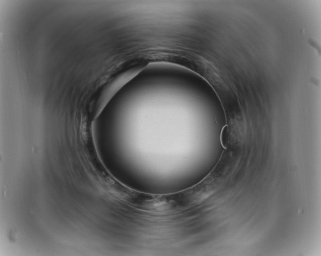 X0000098200267200804241300