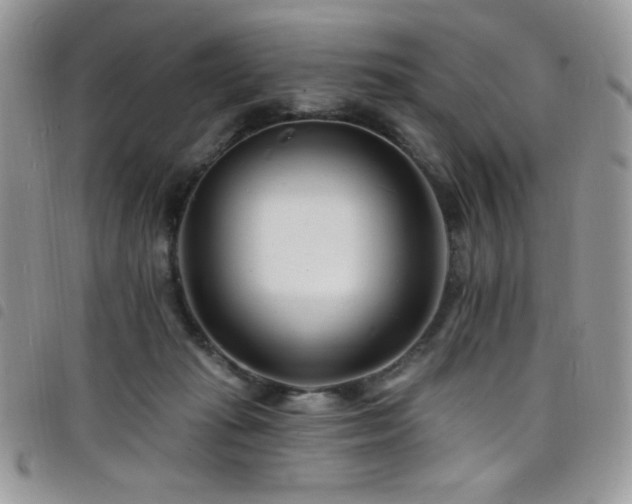 X0000098200269200804241300