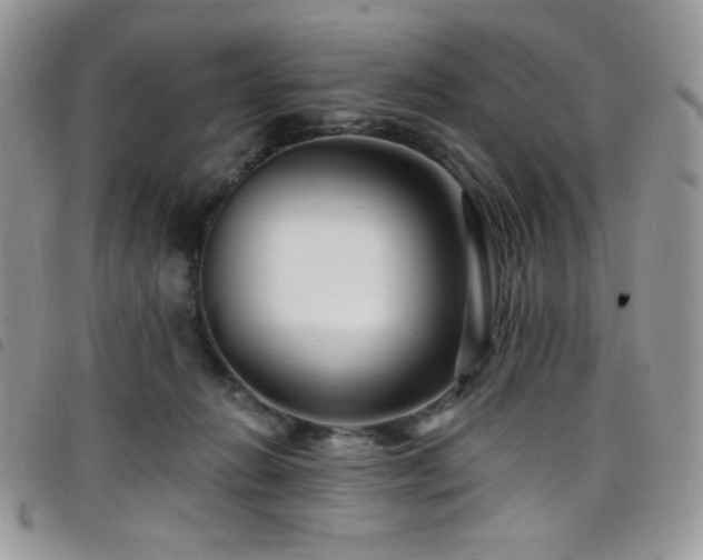 X0000098200270200804241300