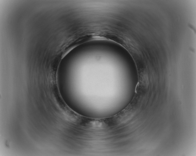 X0000098200272200804241300