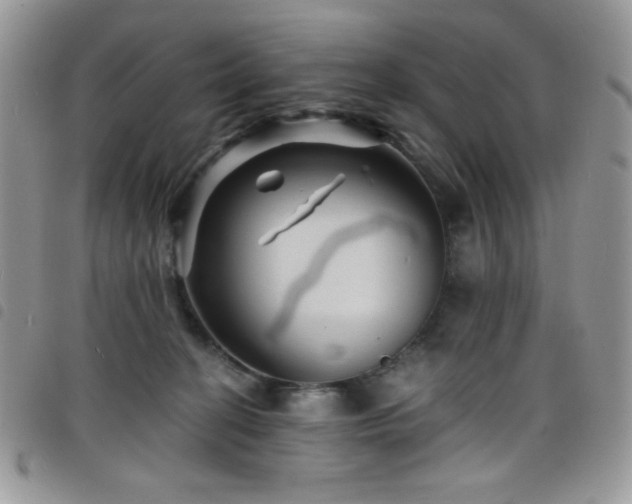 X0000098200274200804241300