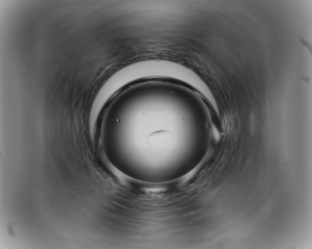 X0000098200276200804241300