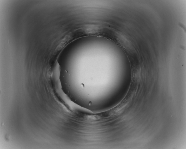 X0000098200277200804241300