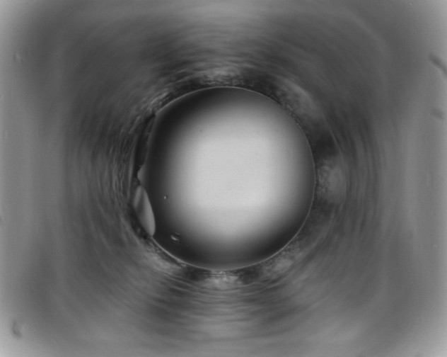 X0000098200278200804241300