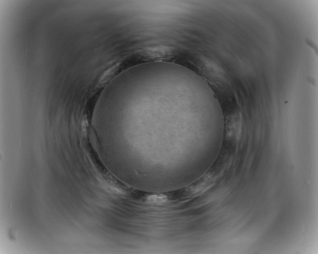 X0000098200279200804241300