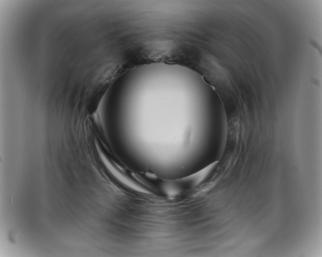 X0000098200280200804241300