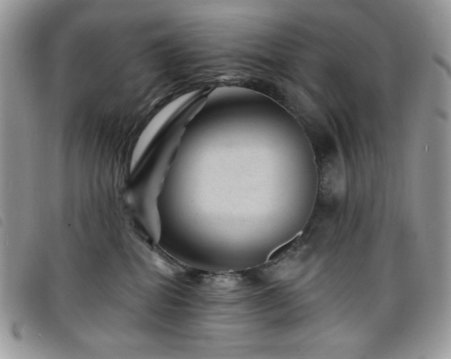 X0000098200282200804241300