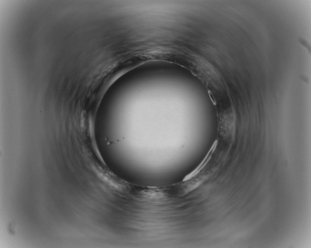 X0000098200284200804241300