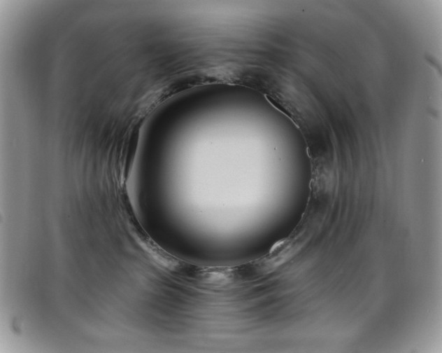 X0000098200285200804241300