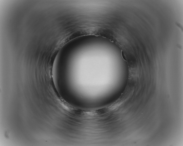 X0000098200286200804241300