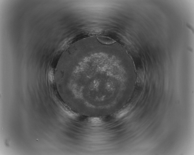 X0000098200287200804241300