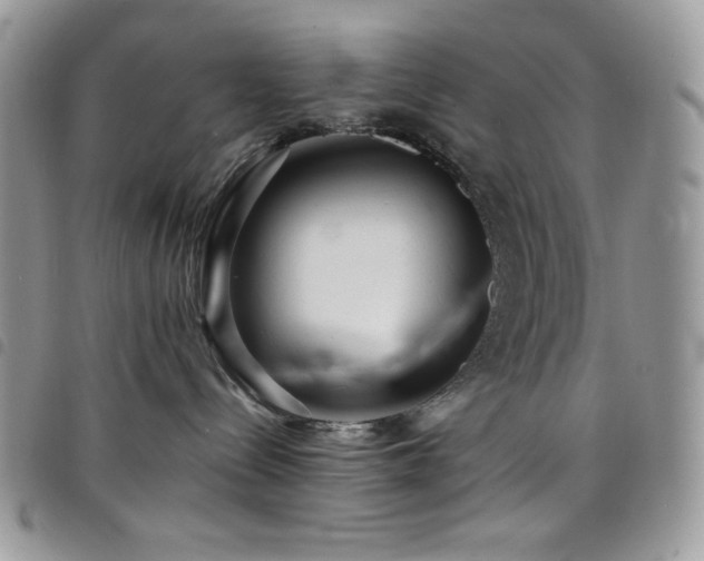 X0000098200288200804241300