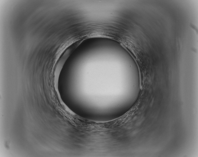 X0000098200289200804241300
