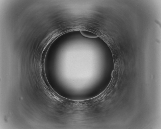X0000098200290200804241259