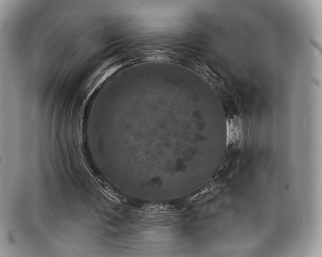X0000098200291200804241259