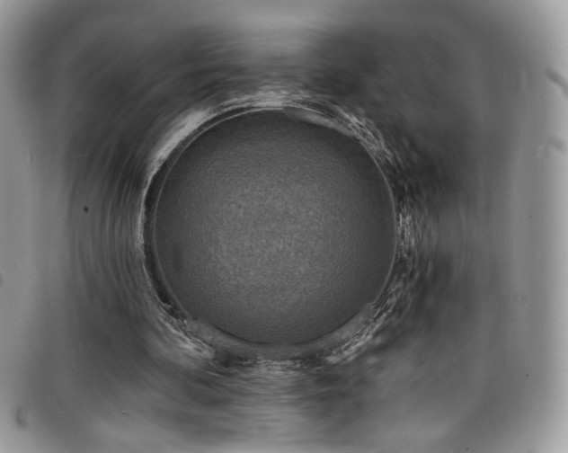 X0000098200292200804241259