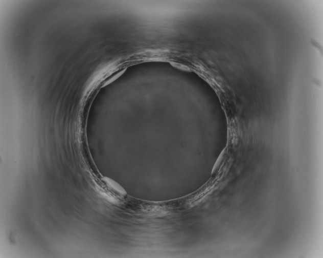X0000098200293200804241259